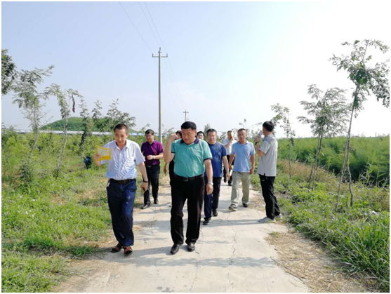 項目建設新創(chuàng)舉 整體規(guī)劃大提升 中國農科院特產研究所副所長李滋睿一行到清洋湖來考察