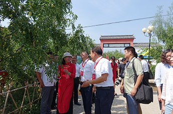 共享?xiàng)棽┦?huì) 攜手再創(chuàng)佳績(jī) 熱烈慶祝2017中國(guó)（樂(lè)陵）金絲小棗文化節(jié) 暨第五屆百棗綱目（集團(tuán)）新品發(fā)布會(huì)圓滿(mǎn)成功